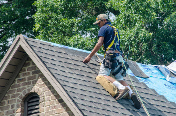 Roof Gutter Cleaning in San Bernardino, CA